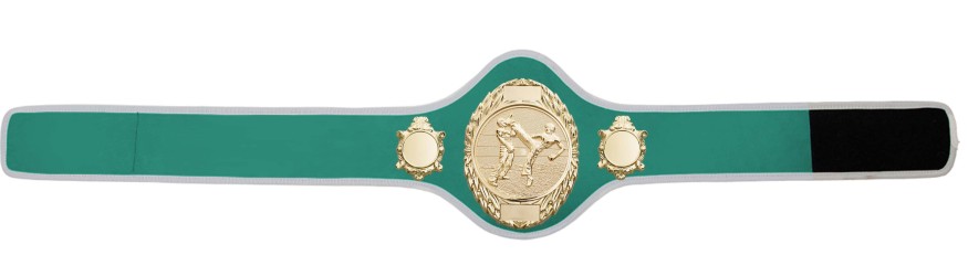 KICKBOXING CHAMPIONSHIP BELT-PRO286/G/KBOG-10+ COLOURS